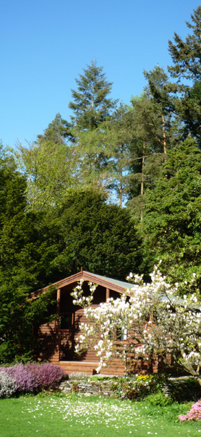 Lodge