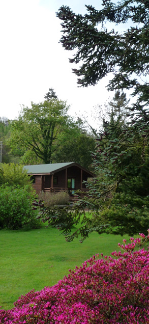 Lodge