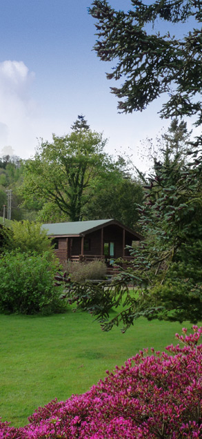 Lodge
